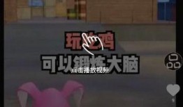 精彩小视频爆料在哪找,精彩小视频爆料源头，带你一探究竟